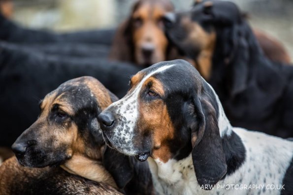 10633339_10207800938915901_8498842780998652188_o