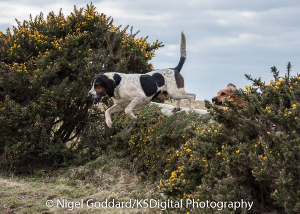 12321359_10154056600914801_8698078121058733311_n