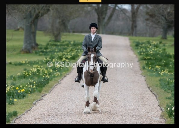 capture-20160320-214505