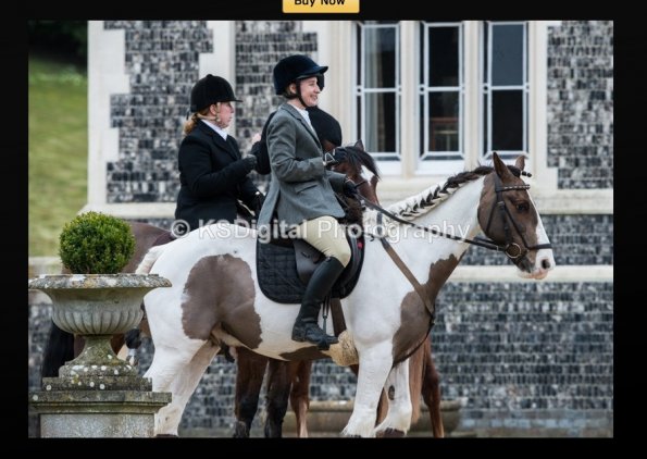 capture-20160320-214531