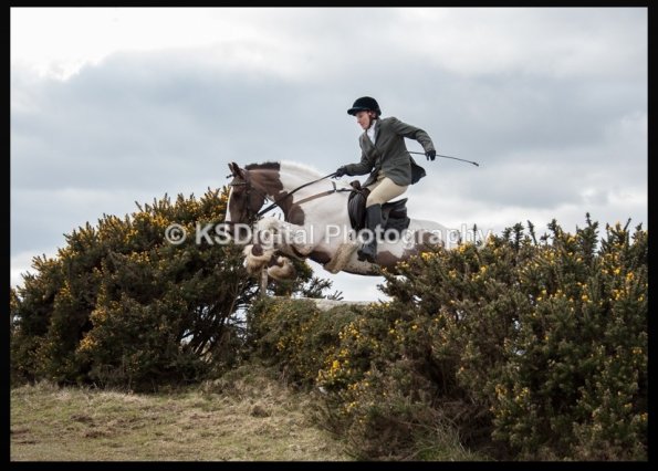 capture-20160320-215529