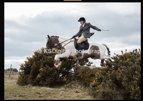 capture-20160320-215552