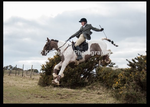 capture-20160320-215616