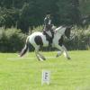 27 Anna-LAnce Dressage (3)