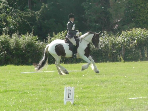 27 Anna-LAnce Dressage (3)