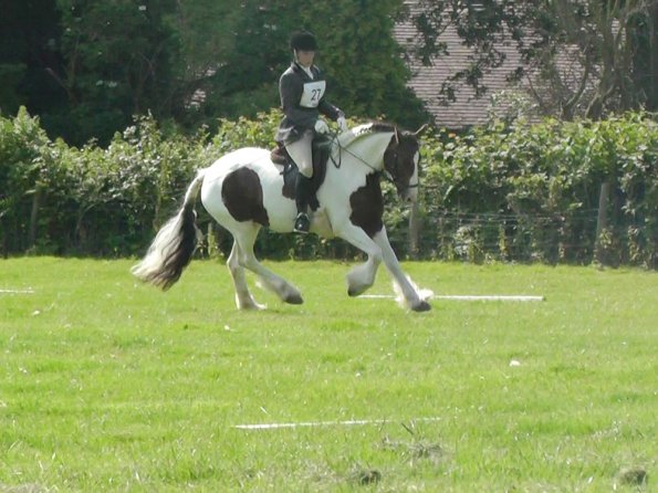 27 Anna-LAnce Dressage (4)