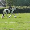 27 Anna-LAnce Dressage (5)
