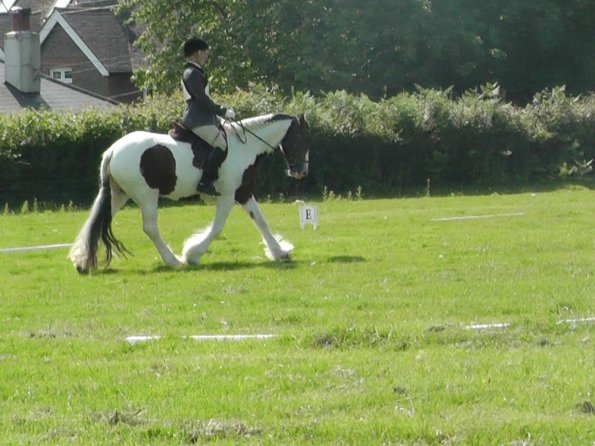27 Anna-LAnce Dressage (5)