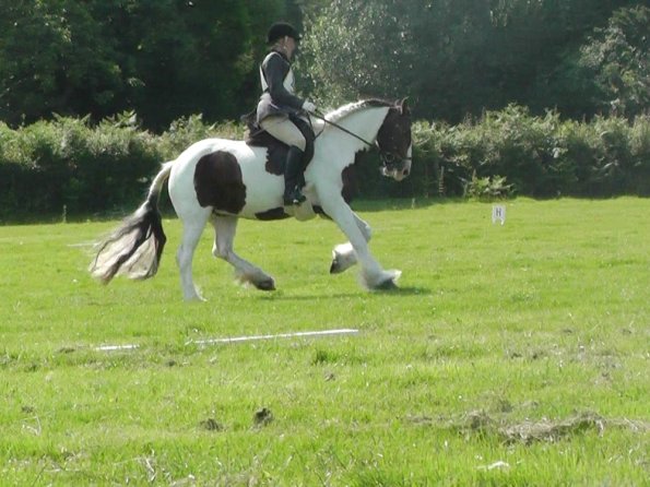 27 Anna-LAnce Dressage (6)