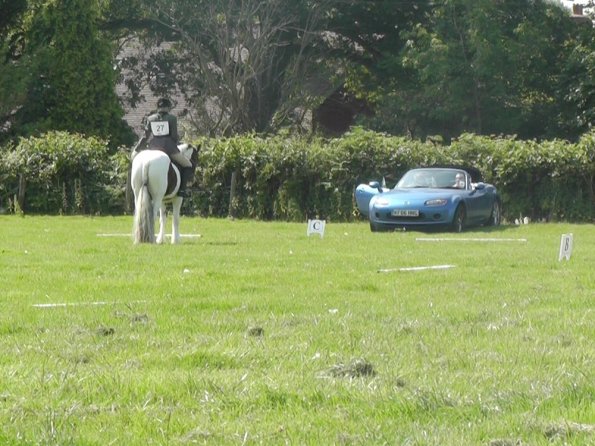 27 Anna-LAnce Dressage (7)