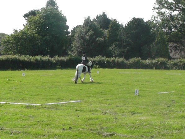 27 Anna-LAnce Dressage (8)