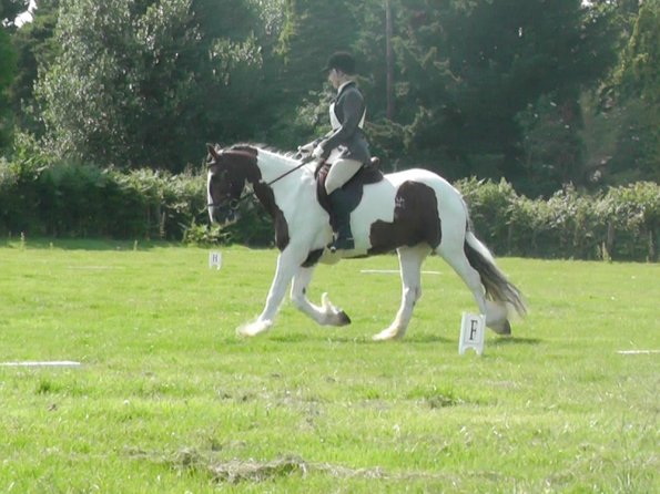 27 Anna-LAnce Dressage