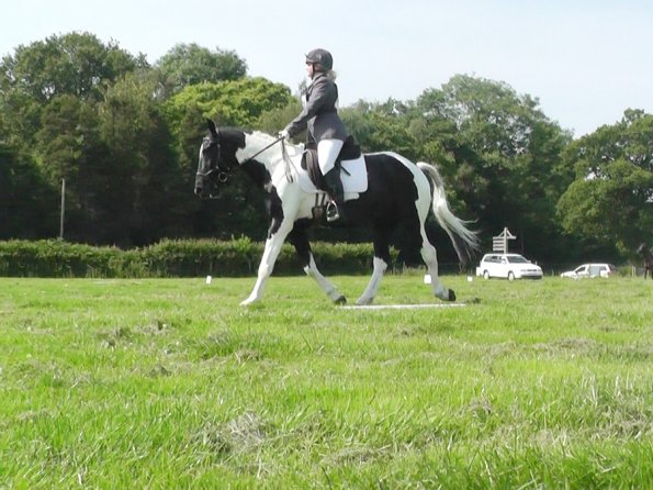 28 Jade-JD Dressage (2)