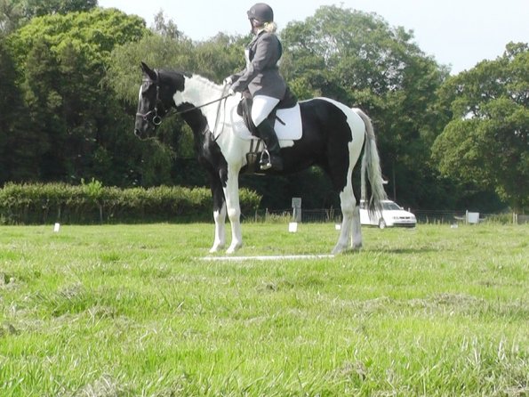 28 Jade-JD Dressage