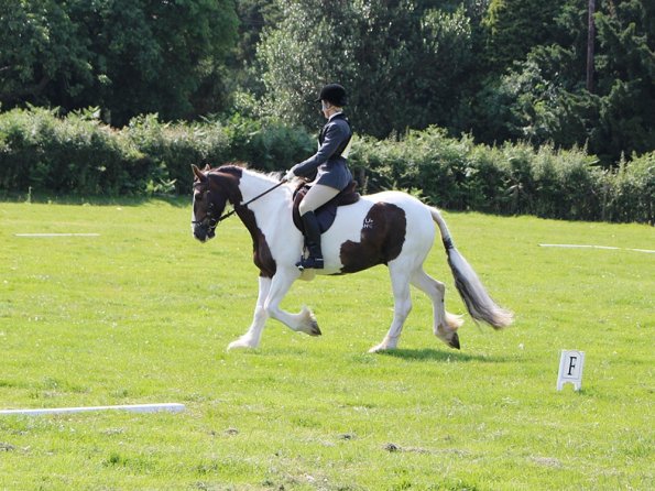 Anna Lance Dressage (2)