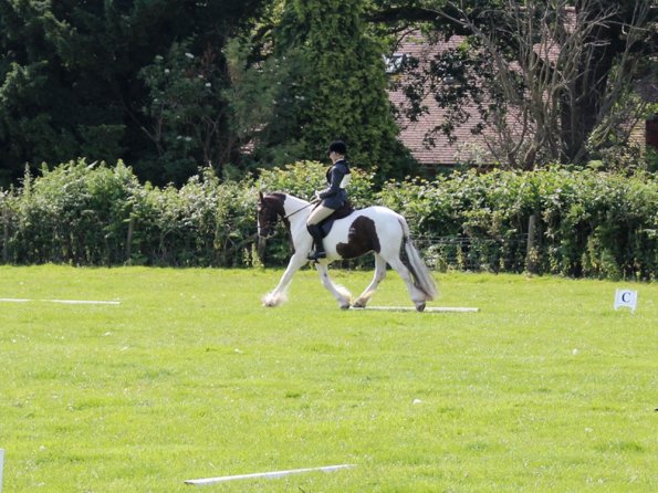 Anna Lance Dressage (3)