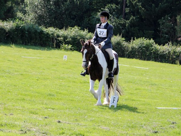 Anna Lance Dressage (4)