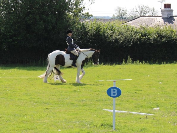 Anna Lance Dressage (5)
