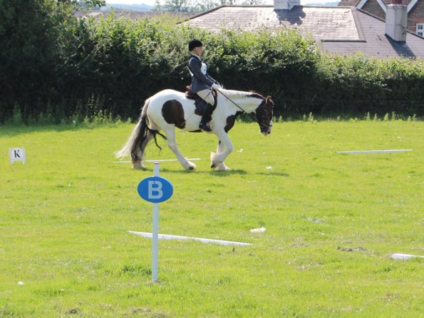 Anna Lance Dressage (6)