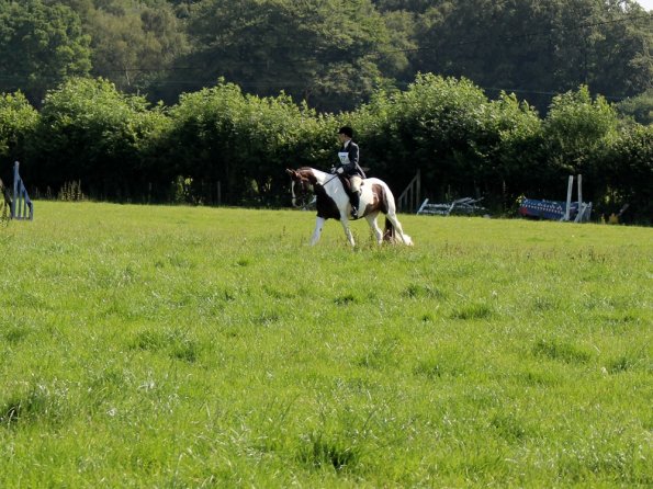 Anna Lance Dressage (7)
