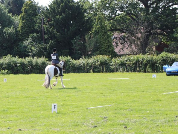 Anna Lance Dressage (8)