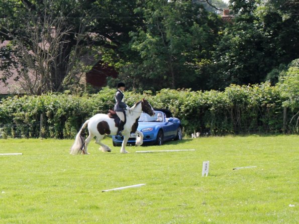 Anna Lance Dressage (9)