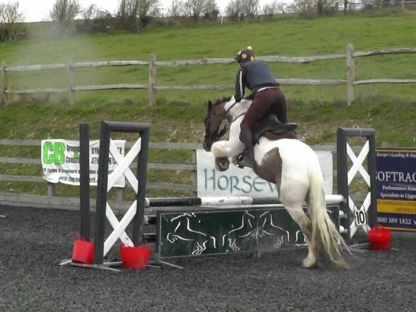 03-26-2014_104442(9)