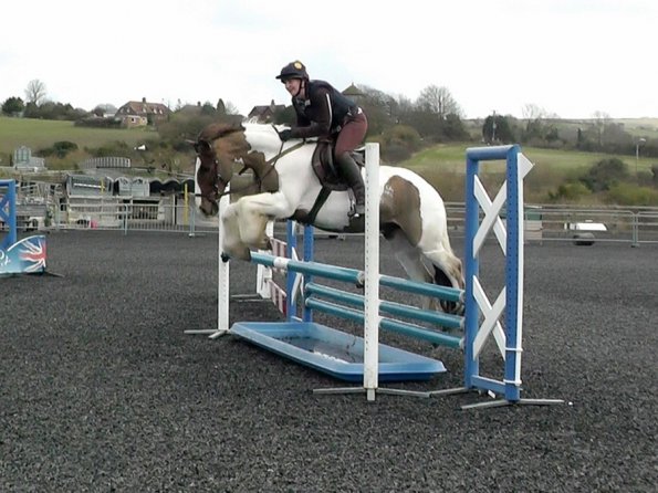 03-26-2014_104953(10)