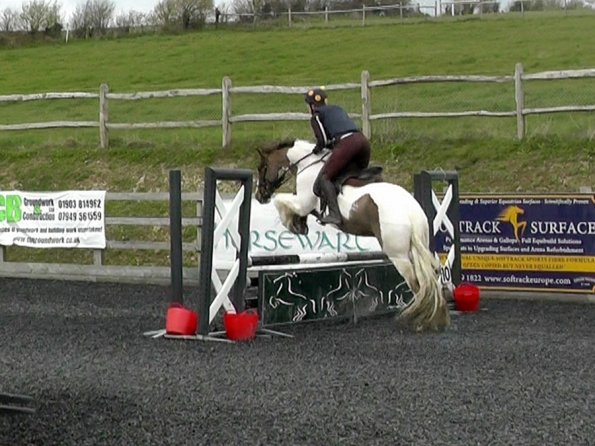 03-26-2014_104953(11)