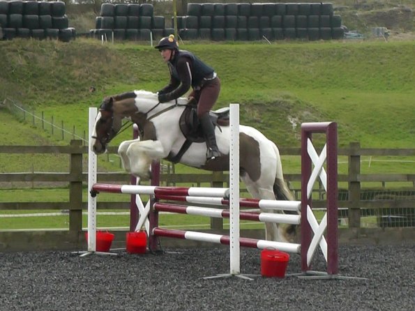 03-26-2014_104953(6)