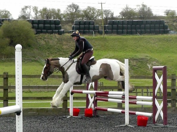 03-26-2014_104953(7)