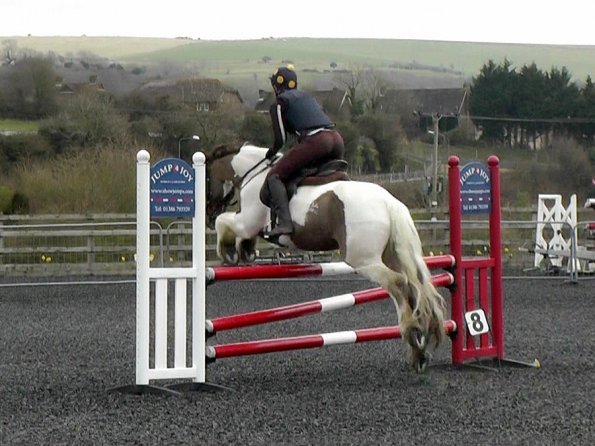 03-26-2014_104953(8)