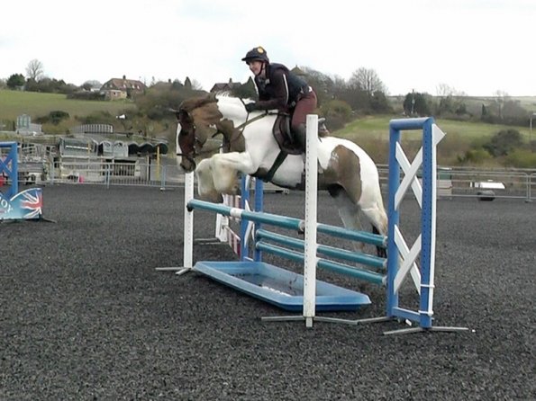 03-26-2014_104953(9)