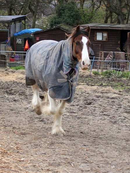 10147264_10152266224037978_2069961185_o