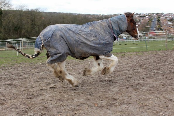 10148011_10152266224067978_1332445522_o