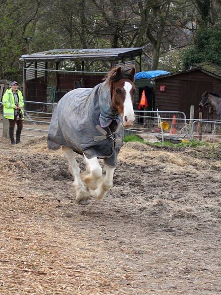 10150326_10152266223552978_441885887_o