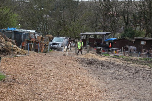 10150403_10152266220812978_636759408_o