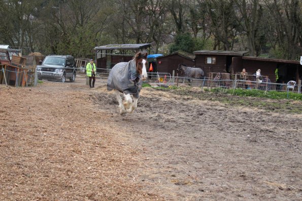 10152154_10152266223227978_1519194138_o