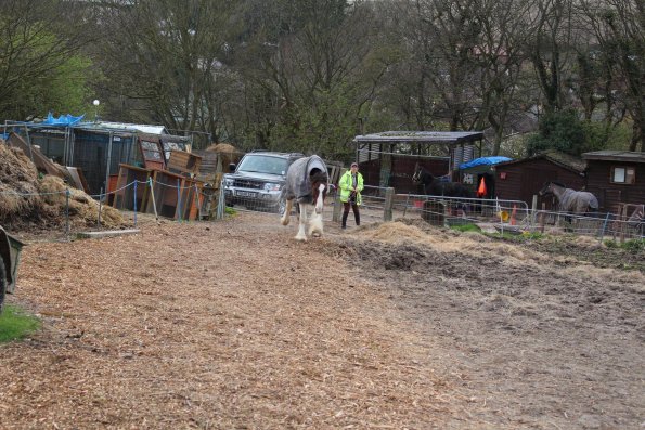 10152245_10152266220962978_1740620309_o