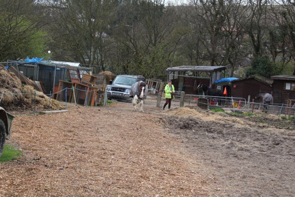 10168710_10152266220452978_1332146048_o