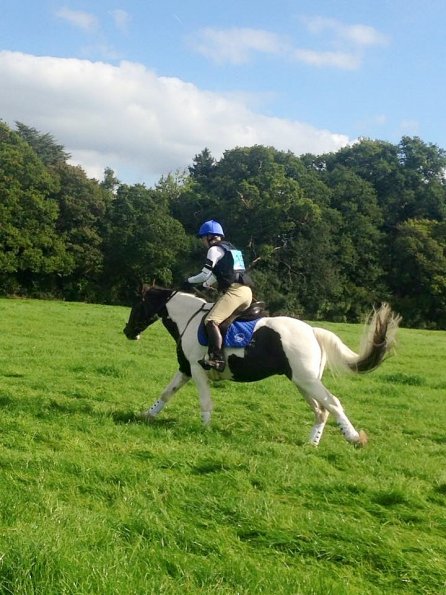 12038375_10153554172494536_3419573276288755166_n