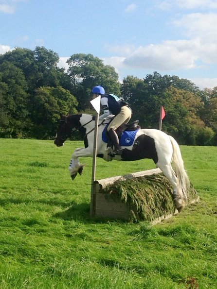 12042637_10153554172449536_3622429570976730450_n