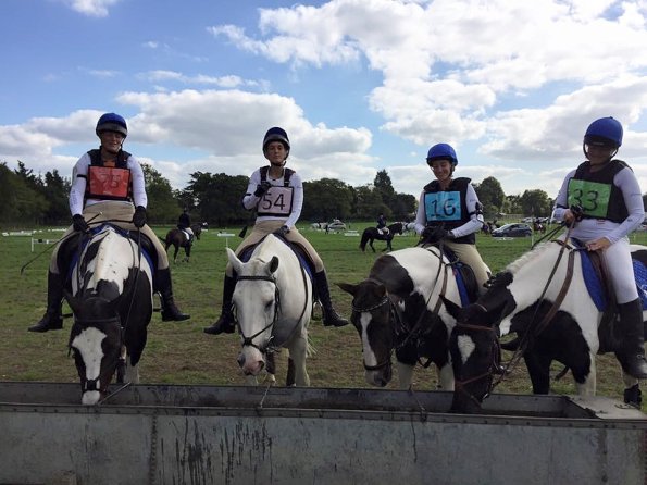 12063566_857792667623313_3828080384008866855_n