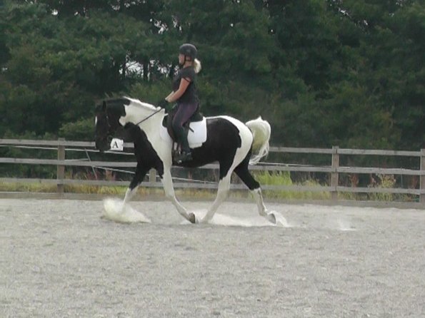 08-03-2015_084854(10)