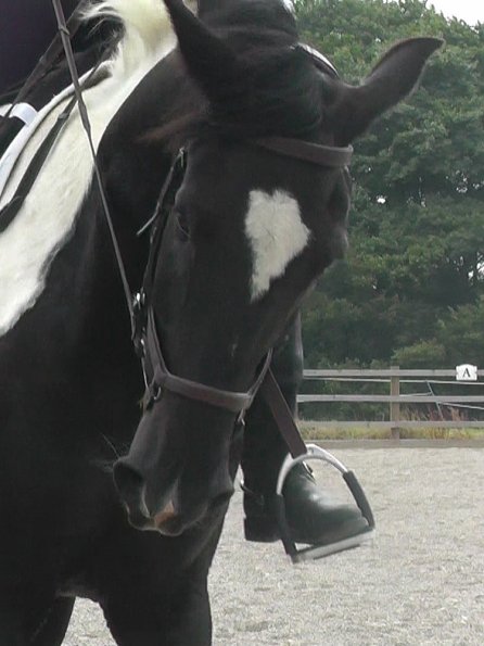 08-03-2015_084854(11)