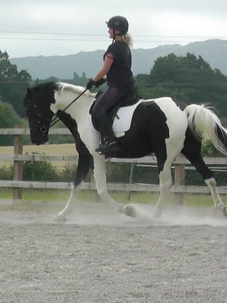 08-03-2015_084854(12)