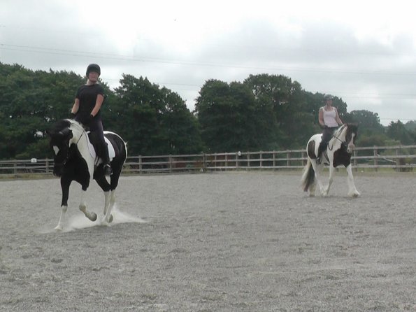 08-03-2015_084854(14)