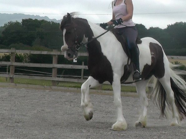 08-03-2015_084854(4)