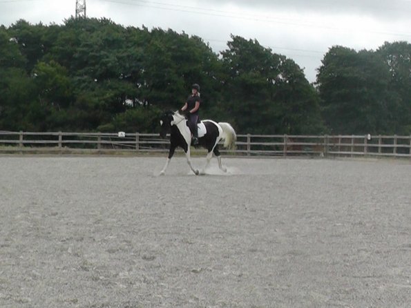 08-03-2015_084854(7)