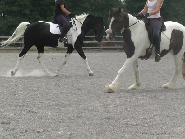 08-03-2015_084854(9)